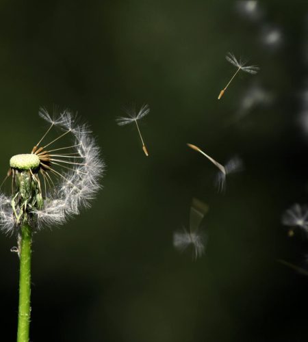 7 Powerful Signs It’s Time to Let Go and Embrace Real Growth