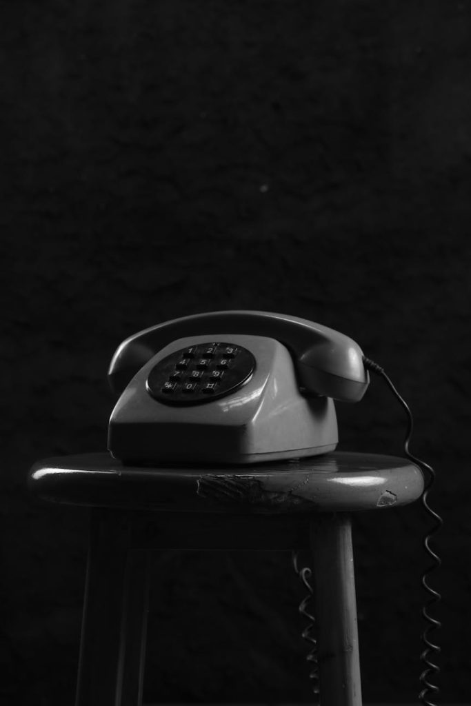 pexels photo 29738109
